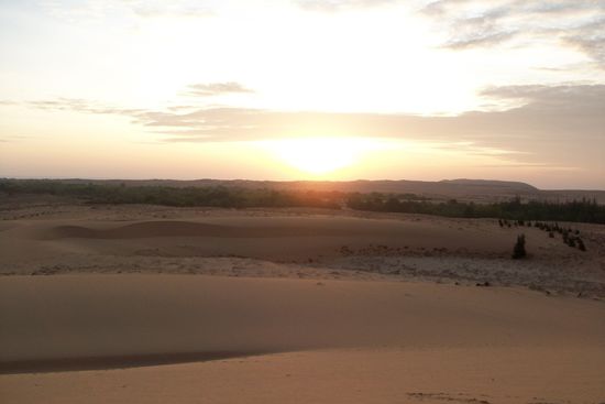 da schaut sie schon raus