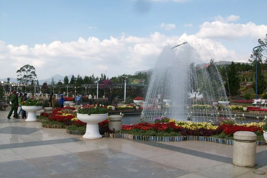 am Eingang des Flowerfestes