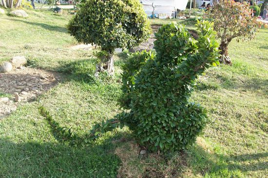 na was fuer ein Tier ist das???