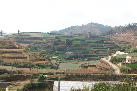 am zweiten Tag haben wir auch noch einen Roller ausgeliehen. Und sind ein bisschen durch die Landschaft gefahren.