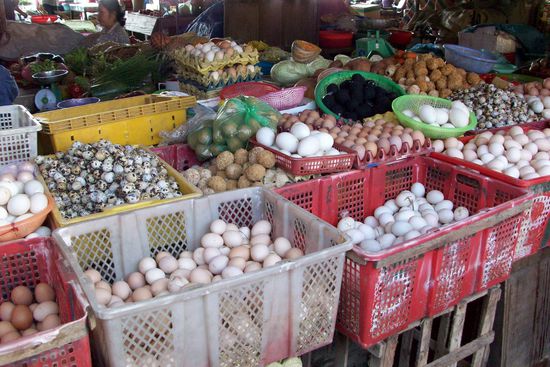 Ja hier bekommt man aller Arten von Eiern