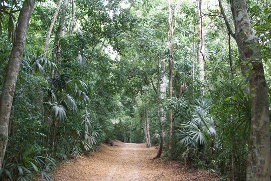 so sahen die Wege zwischen den Tempeln aus hat wirklich sehr spass gemacht