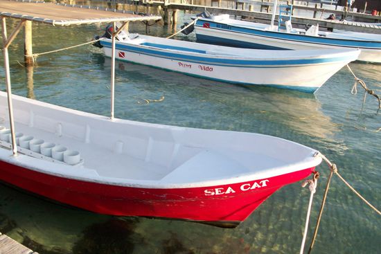 hier sieht man auch wie klar das Wasser ist!!!