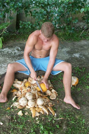 Unten im Garten hatten wir unzaehlige Kokus Baume die gerade sur rechten Zeit reif waren