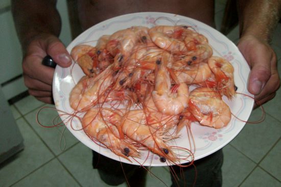 Jap unser Abendessen fuer 2 Euro frisch aus dem Meer