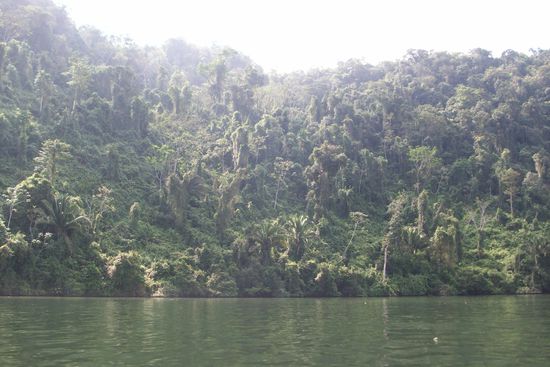 Tolle Landschaft auf unserer Bootsfahrt den Rio Dulce hoch.