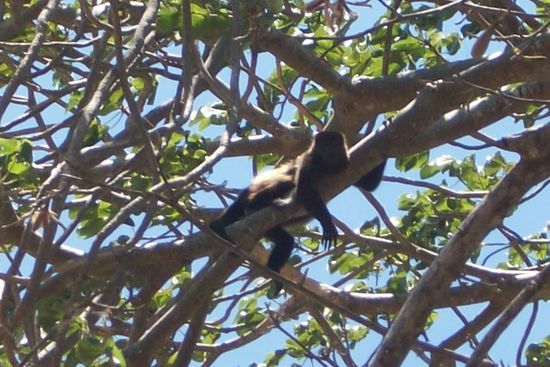 Mein Bruder (mein dritter Bruder)