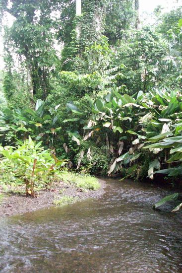 kleine Flussueberquerung