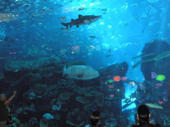 Shopping mall in Dubai. Man kann da auch mit den Haien tauchen wenn man will.... Dubai nix unmöglich...