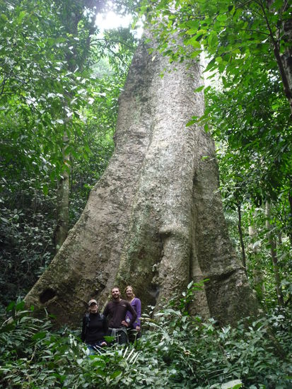 Das ist doch mal ein dicker Baum oder? Links neben uns Vicky aus der Schweiz