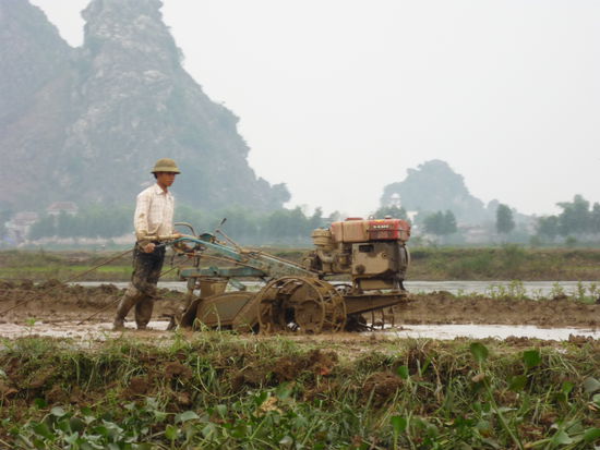 Ein Reisbauer mit einem Trekker