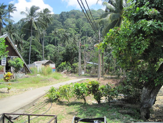 Unsere Straße am Strand lang, im Hintergrung der Primärregenwald, leider haben wir zur Zeit keine besseren Fotos zur Hand, auf jedenfall toll....
