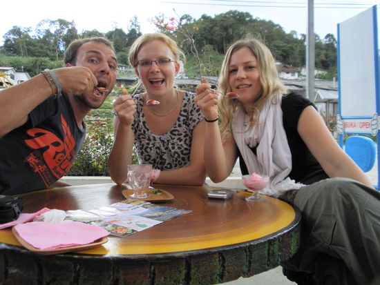 Lecker Erdbeereis mmm......