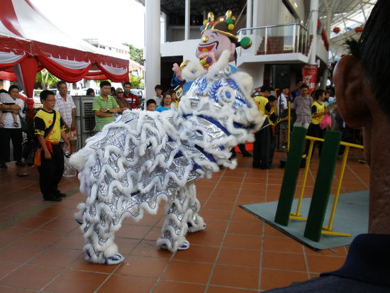Der Drache der zu Neujahr überall rum tanzt