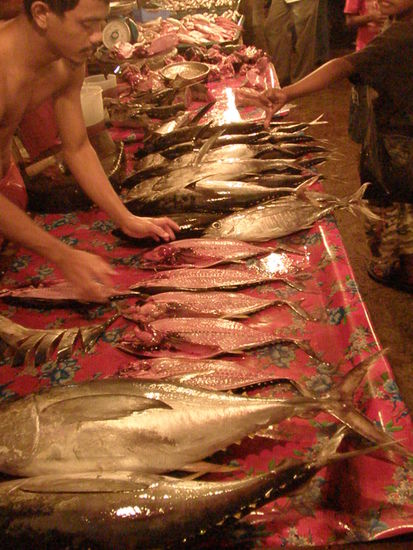 Fischmarkt in Kota Kinabalu