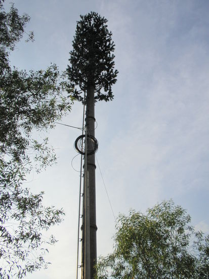 Ein Funkmast getarnt als Baum....