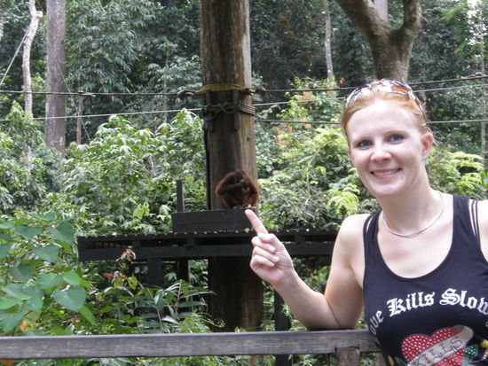 Abends vor der Fütterung konnten wir ein wenig alleine den kleinen hier beobachten.....