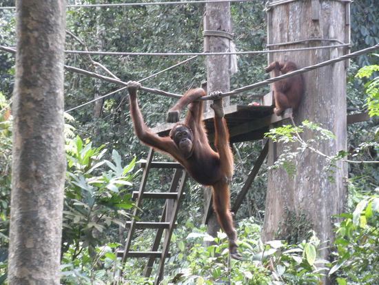 Der hängt mal ein wenig ab....