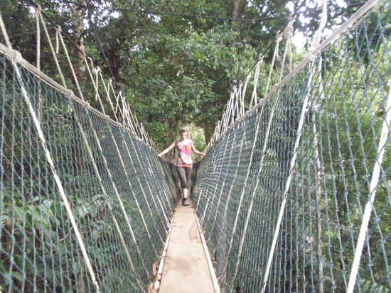 Nadine etwas unentspannt auf dem Canopy Walk, muss sich festhalten....