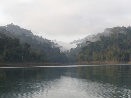 Am morgen bei einer fahrt auf dem See