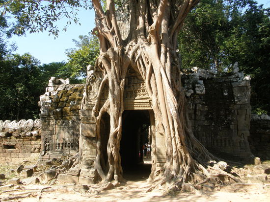 Ta Som Tempel