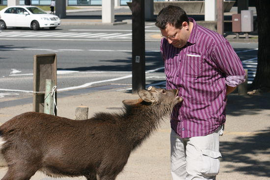 Wie gesagt es war nicht so leicht die Viecher wieder loszuwerden.