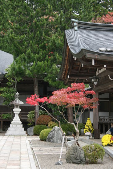 Die Bäume hatten hier oben auch schon ne tolle Herbstfärbung - mit Tempel im Hintergrund.