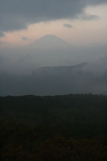 schnell fotografieren..