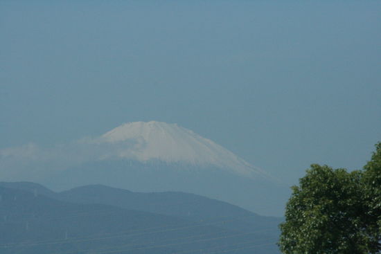 auf der Zugfahrt nach Tokio haben wir sogar noch den Mt. Fuji bei Tag gesehen.