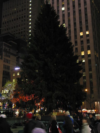 Und hier der berühmte Weihnachtsbaum vor dem Rockefeller Center. Schon geschmückt, die Lichter werden aber erst am 2. Dezember gezündet, dann sind wir aber leider schon wieder in DC