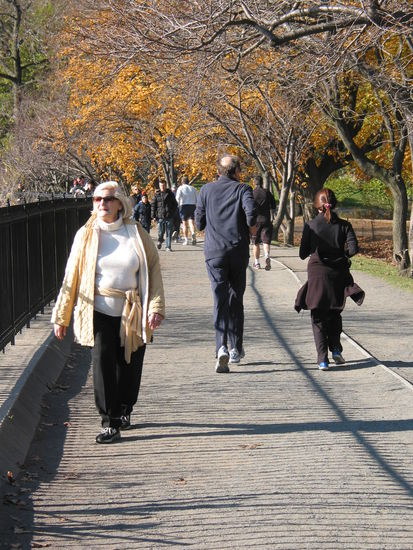 Kurz vor unserer Abreise noch ein Abstecher in den Central Park. Sehr beliebt, jogging, lt. Beschilderung aber nur im Uhrzeigersinn erlaubt. Seltsamerweise joggten alle anders herum. Der erste Jogger am Tag legt vielleicht die Richtung fest.