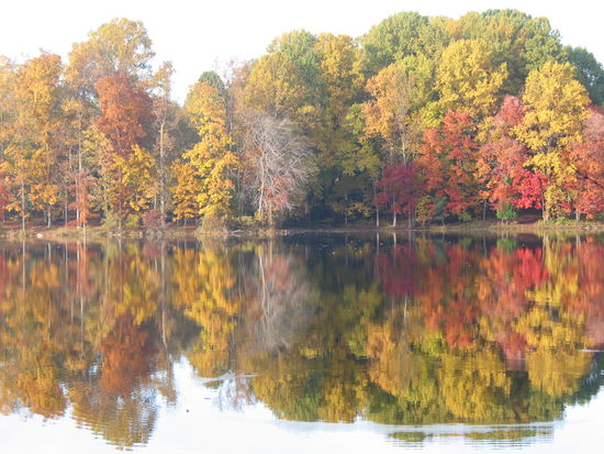 Alles so schön bunt hier....