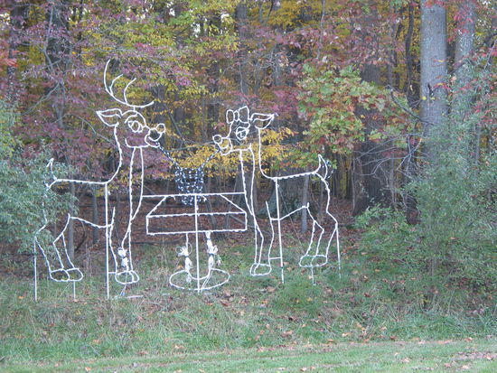 Die Ufer des Sees waren gesäumt von Figuren aus Lichterketten, die wahrscheinlich zu Thanksgiving leuchten werden. Schon verrückt, wieviel Energie dabei draufgeht. Kommen wieder, wenn es brennt