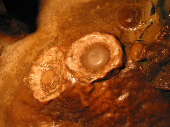 Keine Spiegeleier, sondern Stalakniten, die abgebrochen waren. Dann haben die Besucher in etlichen Jahrzehnten durch Reiben mit den Fingern die Oberfläche so geglättet, dass das jetzt wie ein Eidotter aussieht.