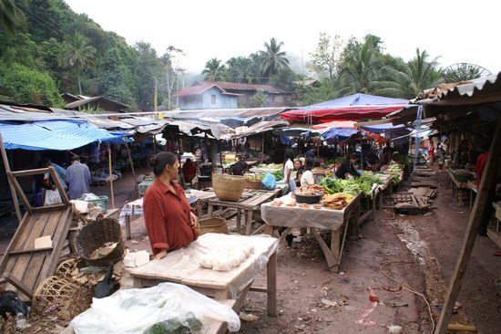 Morning Market in Pak Beng