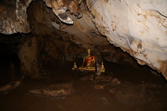 Der Schocktherapiebuddha...