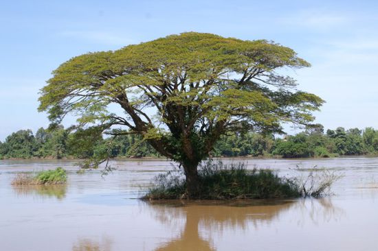Wohl eine der 4000....