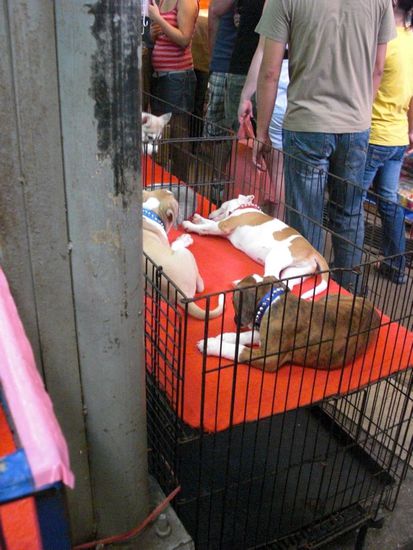 Das müsste nicht sein... leider gibt es davon zu viele....