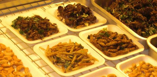 ... wird bei näherer Betrachtung jedoch eher ekelhaft....