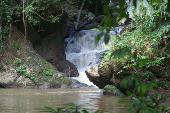 Genial zum Schwimmen....