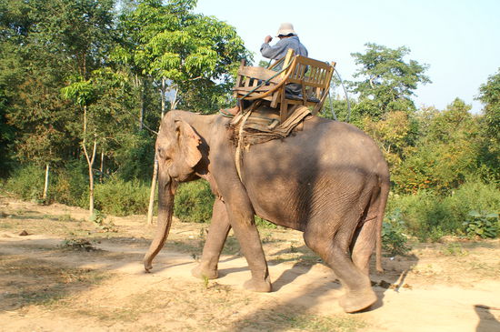 ... und ab gings ins Bett... oder so.