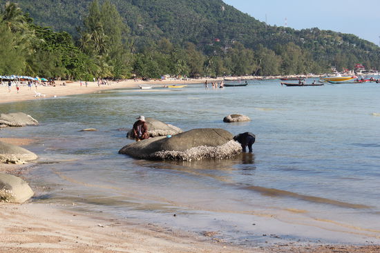 Thais beim Abendessen sammeln... 