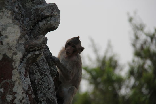 Stille Beobachter...