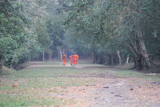 Still beobachtet....