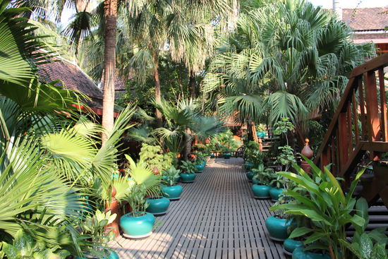 Eine grüne Oase....