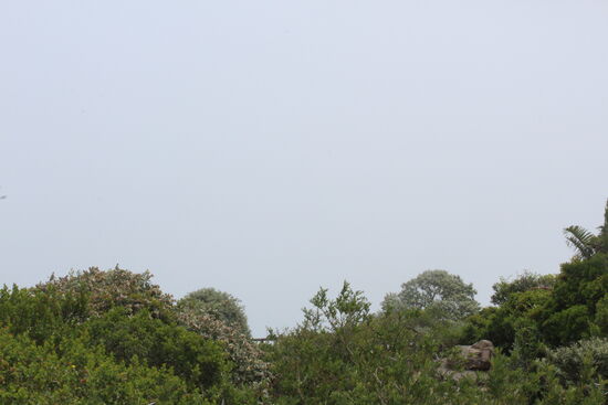 Light Lunch mit ohne Aussicht...