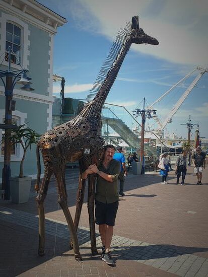 Jetzt hat Ho doch noch seine Giraffe gesehen.