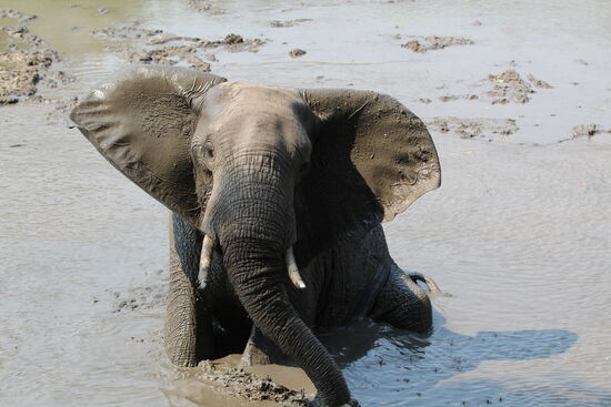 He was taking a bath - plitsch platsch...
