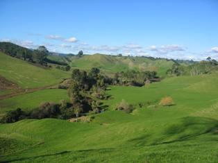 Und das ist unsere traumhafte Hobbitlandschaft