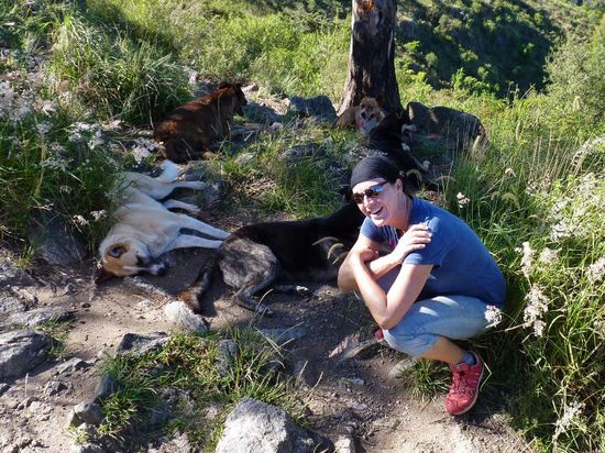 Unsere treuen Begleiter